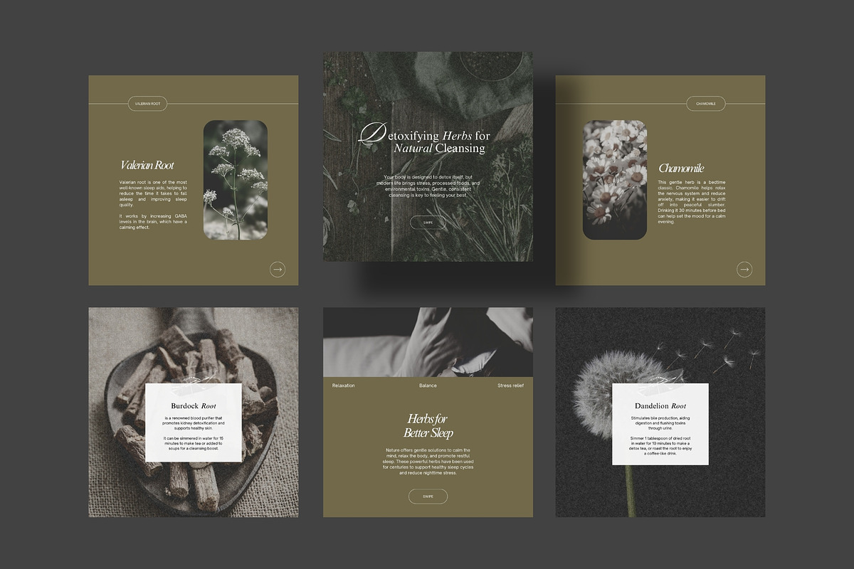 Herbalist Carousel Post Templates, a Social Media Template by Terraa Studio Design (Photo 5 of 9)