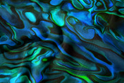 Abalone Paua Shell Seamless Pattern, a Pattern Graphic by Leysa Flores (Thumbnail 12 of 13)