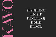 Kavo Styled Serif Typeface | 5 fonts, a Serif Font by VP Fonts (Thumbnail 2 of 13)