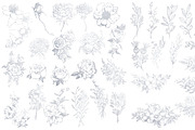 Card templates, floral illustrations, a Card Template by AnastasiyaOleynik (Thumbnail 7 of 10)