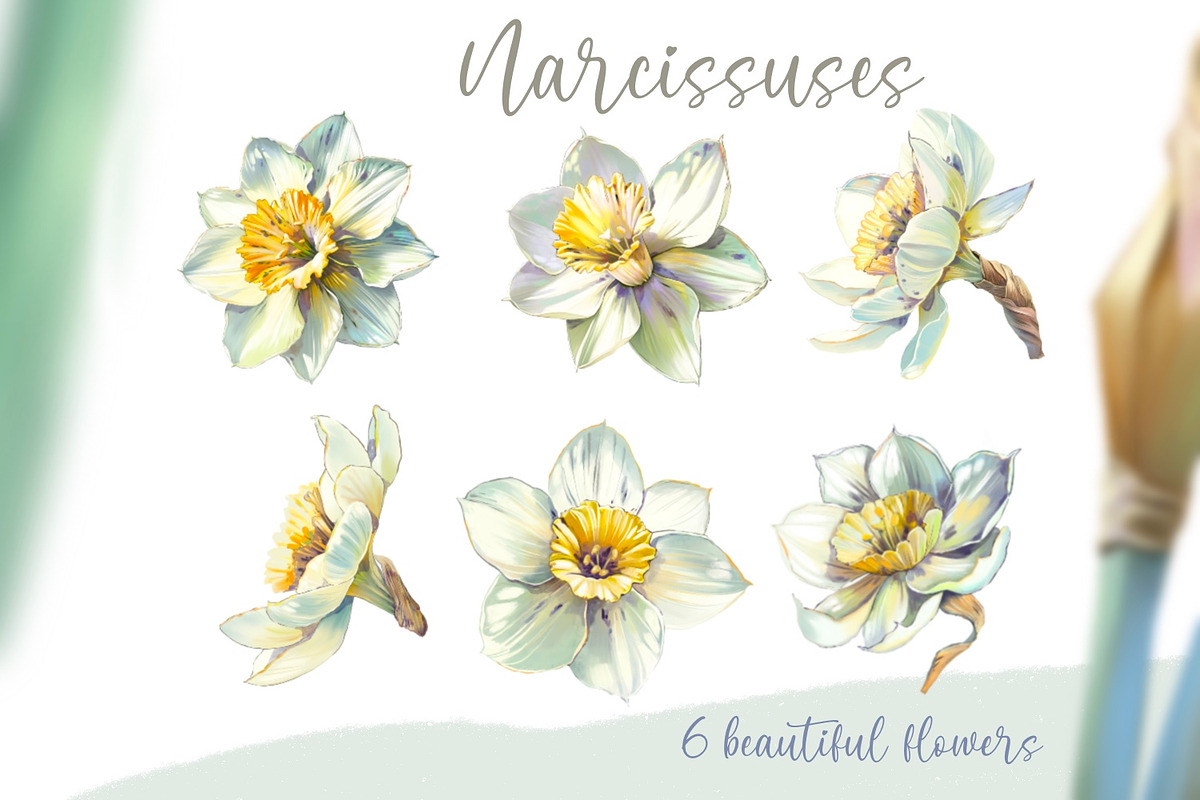 Narcissuses and Butterflies, an Illustration by Shabbypie (Photo 2 of 19)