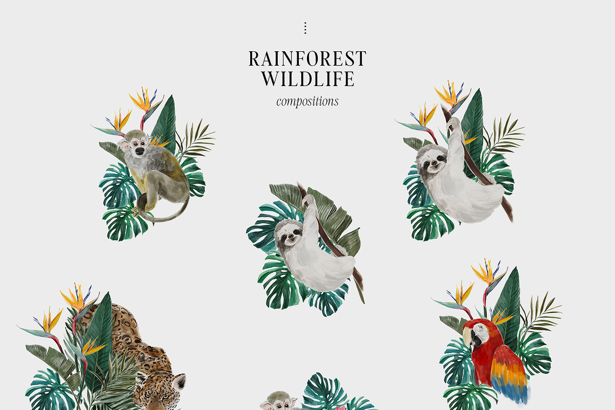 COSTA RICA — jungle animals, an Animal Illustration by Lana Elanor (Photo 5 of 11)