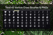 Various Grass Brushes for PS & PNGs, a Brush Add-On by Creative Graphics (Thumbnail 3 of 5)