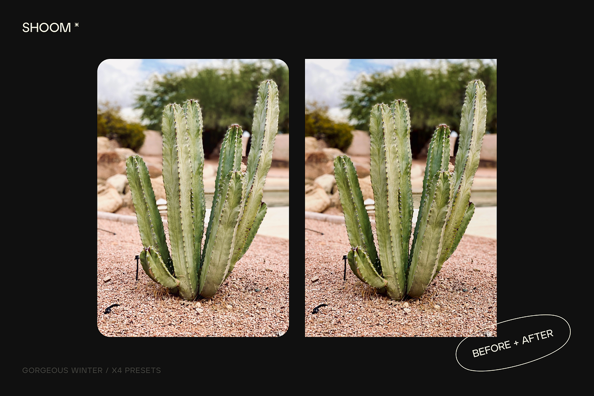 IPANEMA GIRL / SUNNY LIGHTROOM PAIR, a Preset Add-On by SHOOM HOUSE (Photo 7 of 10)