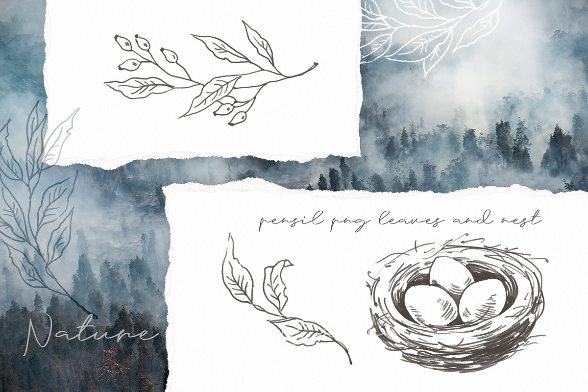 Watercolor Nature and Birds set, an Illustration by Alamella (Photo 9 of 13)
