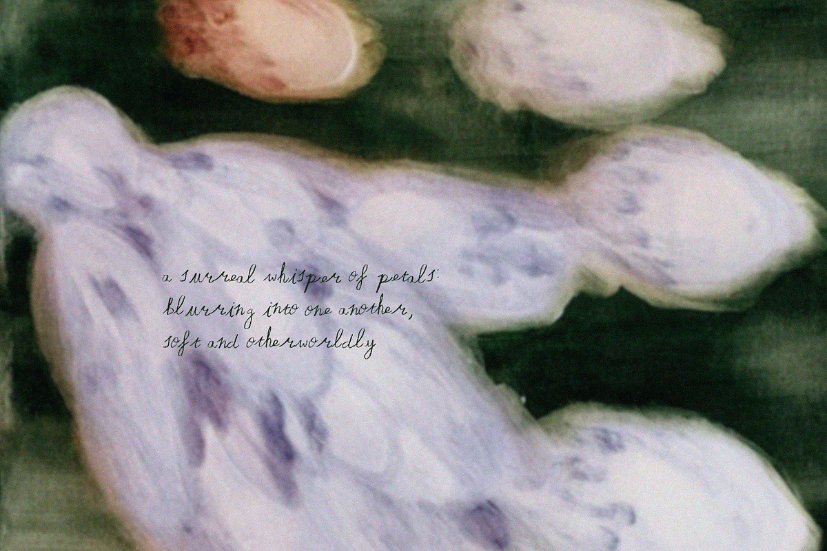 Abstract Blurry Floral Backgrounds, a Background Graphic by Lana Elanor (Photo 8 of 12)