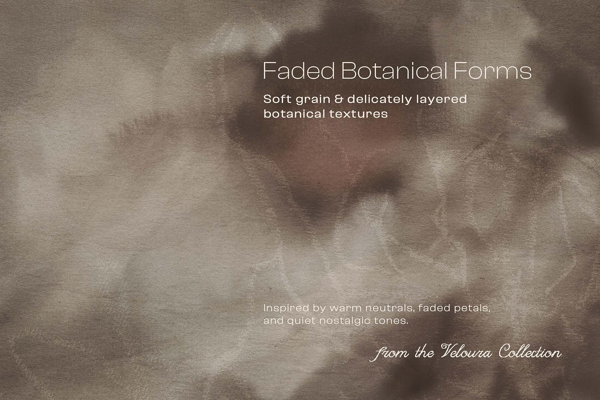 Neutral Florals textured backgrounds, a Background Graphic by DigARTbyHavroshka (Photo 5 of 13)