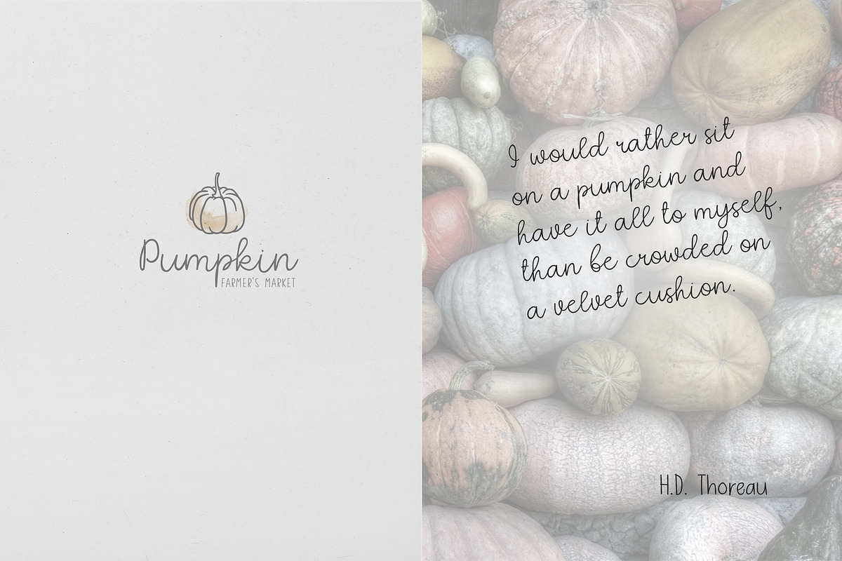 Quaint Garden Floral Font +EXTRAS, a Script Font by AnMark (Photo 11 of 12)