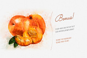 Watercolor Fruits - After Effects, a Templates & Theme by ConceptCafe (Thumbnail 5 of 14)
