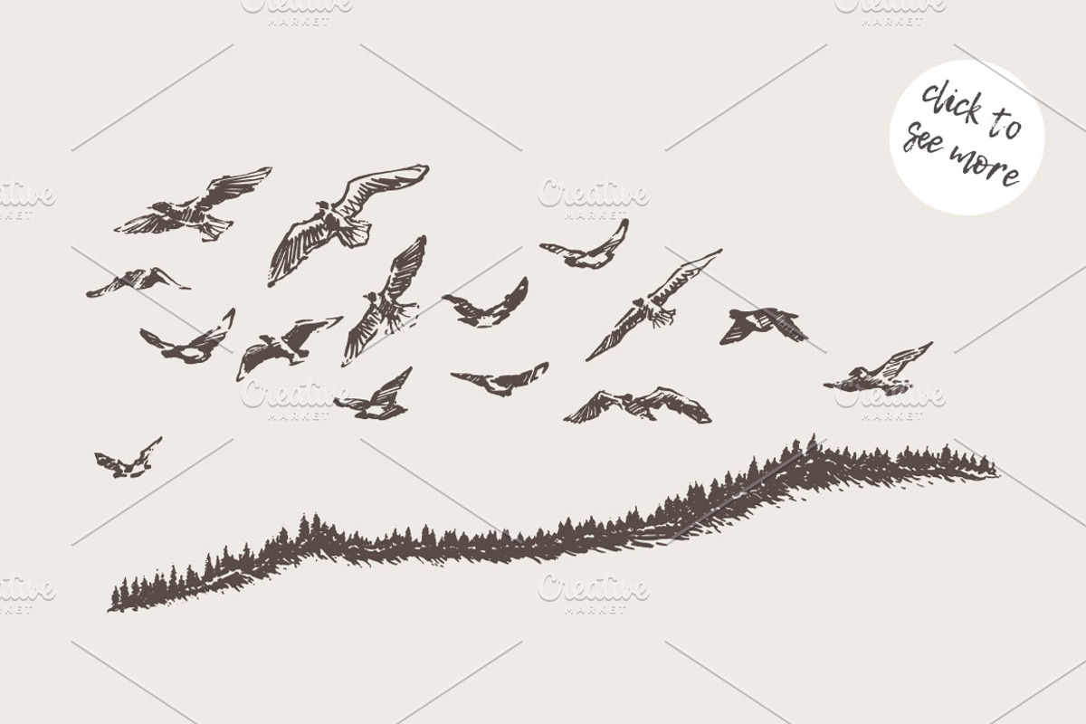 Birds flying over a fir forest, an Illustration by TheMountBirdStudio (Photo 2 of 2)