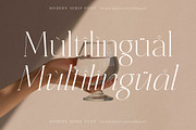 Shefian Modern Serif Font, a Serif Font by Storytype Studio (Thumbnail 12 of 15)