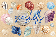 Watercolor seashells clipart, an Object Graphic by My Creative Corner (Thumbnail 1 of 3)