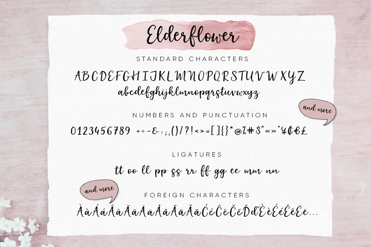 Elderflower script font + logos, a Script Font by Tabita's shop (Photo 11 of 15)