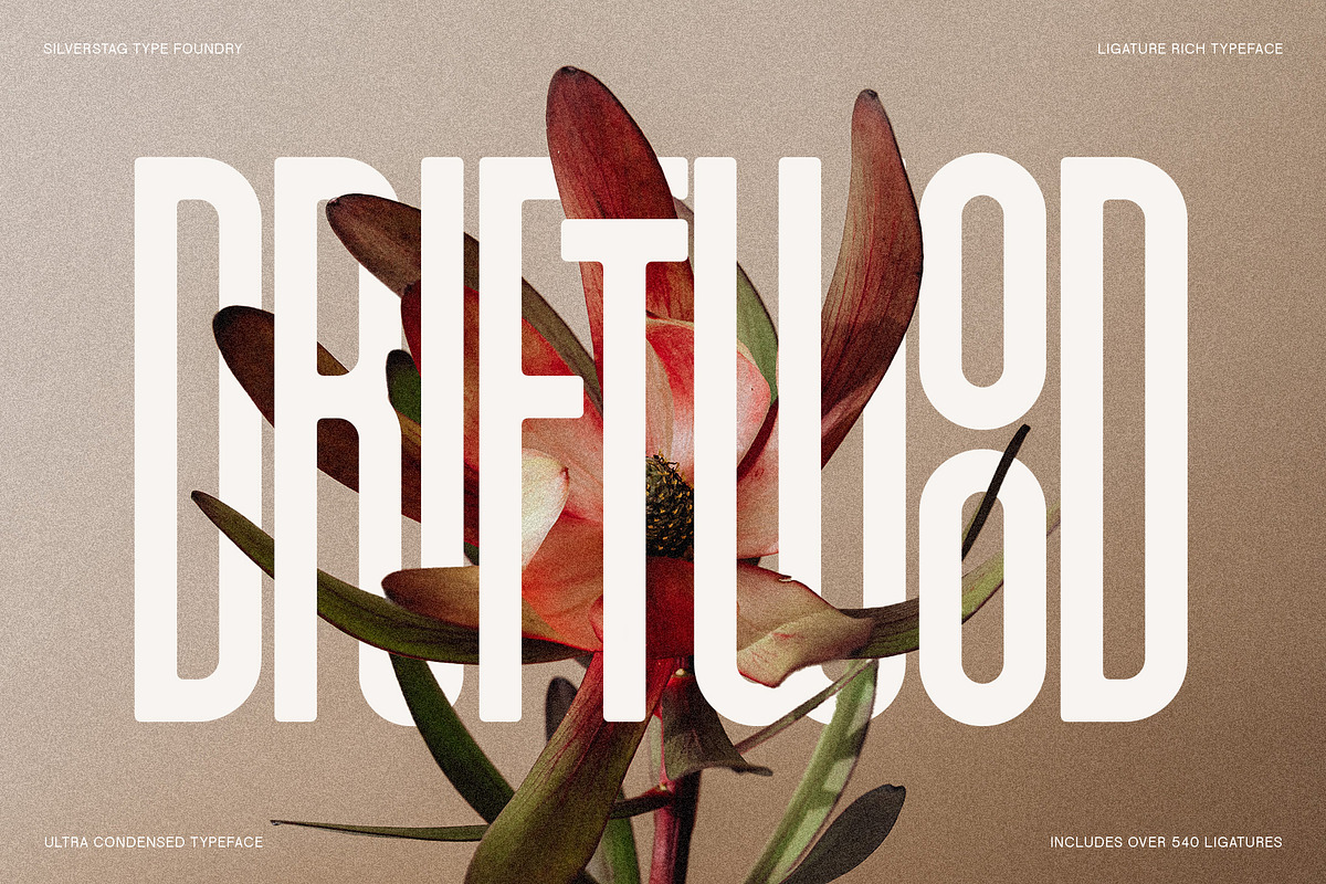 First Contact - 16 Fonts in One Pack, a Sans Serif Font by SilverStag Type Foundry (Photo 5 of 30)