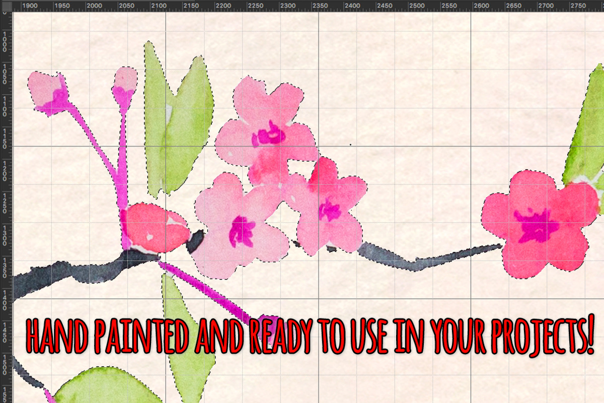 Cherry Blossoms 46 Hand Watercolors, a Seasonal Illustration by Violet LeBeaux (Photo 3 of 3)