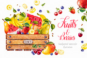 Fruits and berries. Watercolor., a Decorative Illustration by Ekaterina Mikheeva (Thumbnail 1 of 6)