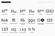 TT Bakers, a Serif Font by TypeType (Thumbnail 12 of 15)