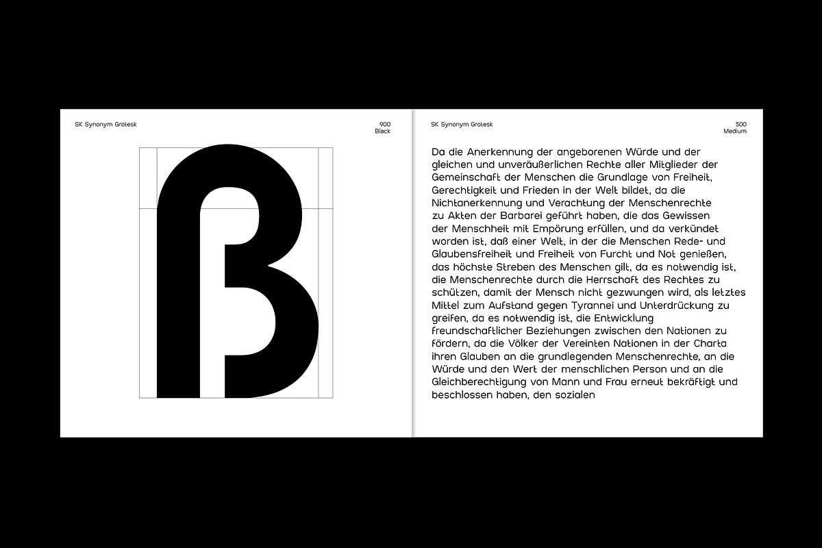 SK Synonym Grotesk — Modern Typeface, a Font by Shriftovik Type Foundry (Photo 13 of 15)