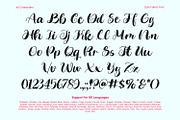 Quilt Fabric, a Script Font by yumnatype (Thumbnail 10 of 10)
