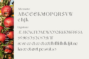 Grapevine - Modern Serif Font