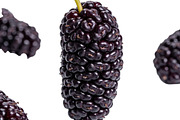 All Fruits Bundle Master Collection, a Food & Drink Photo by FlyeredTemplate (Thumbnail 4 of 130)