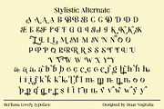 Berliana Lovely, a Serif Font by INKSUN™ (Thumbnail 9 of 13)