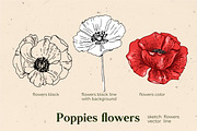 Flowers Poppies. Sketch vector, a Decorative Illustration by irina.vaneeva (Thumbnail 4 of 4)