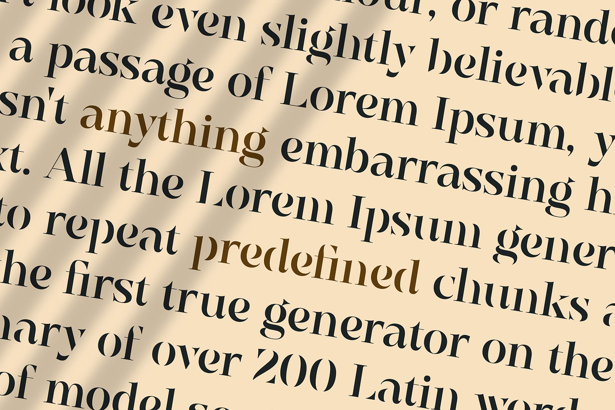 Elegante Classica - Classic Serif, a Serif Font by Mokatype Studio (Photo 9 of 13)