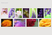 Dreamy Blurred Floral Backgrounds, a Background Graphic by dlinnaya (Thumbnail 9 of 9)