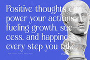Alugfte Modern Display Serif, a Serif Font by timelesstype.co (Thumbnail 14 of 20)