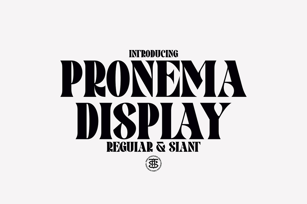 Pronema - Modern Serif, a Serif Font by tebaltipislab (Photo 1 of 13)