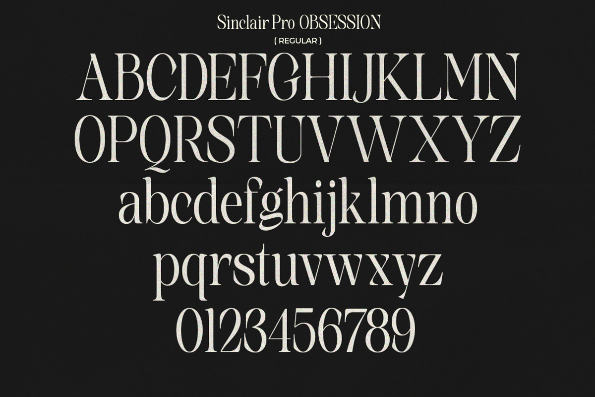 Sinclair Pro Obsession | 12 Font, a Serif Font by Natural Ink Studio (Photo 17 of 17)