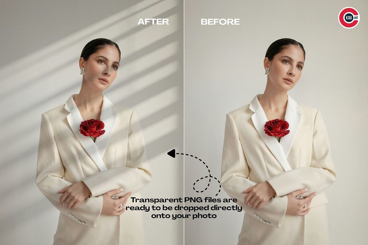 Minimal Window and Botanical Shadow, a Background Graphic by C-Kav (Photo 3 of 8)