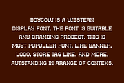 Boycow - Western Font, a Serif Font by QR Design Studio (Thumbnail 4 of 6)