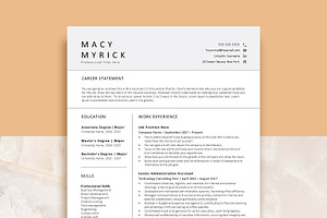 Professional Resume Template, CV