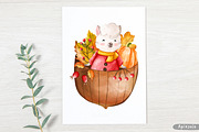 Autumn Animal Clipart, Fall Clipart, an Animal Illustration by Apixsala (Thumbnail 11 of 15)