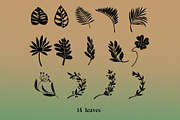 Mysterious set, an Illustration by Mii Lab (Thumbnail 4 of 13)
