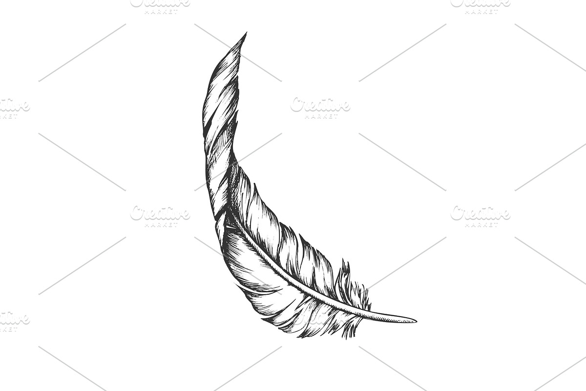 Decorative Bird Element Feather, a Decorative Illustration by pikepicture