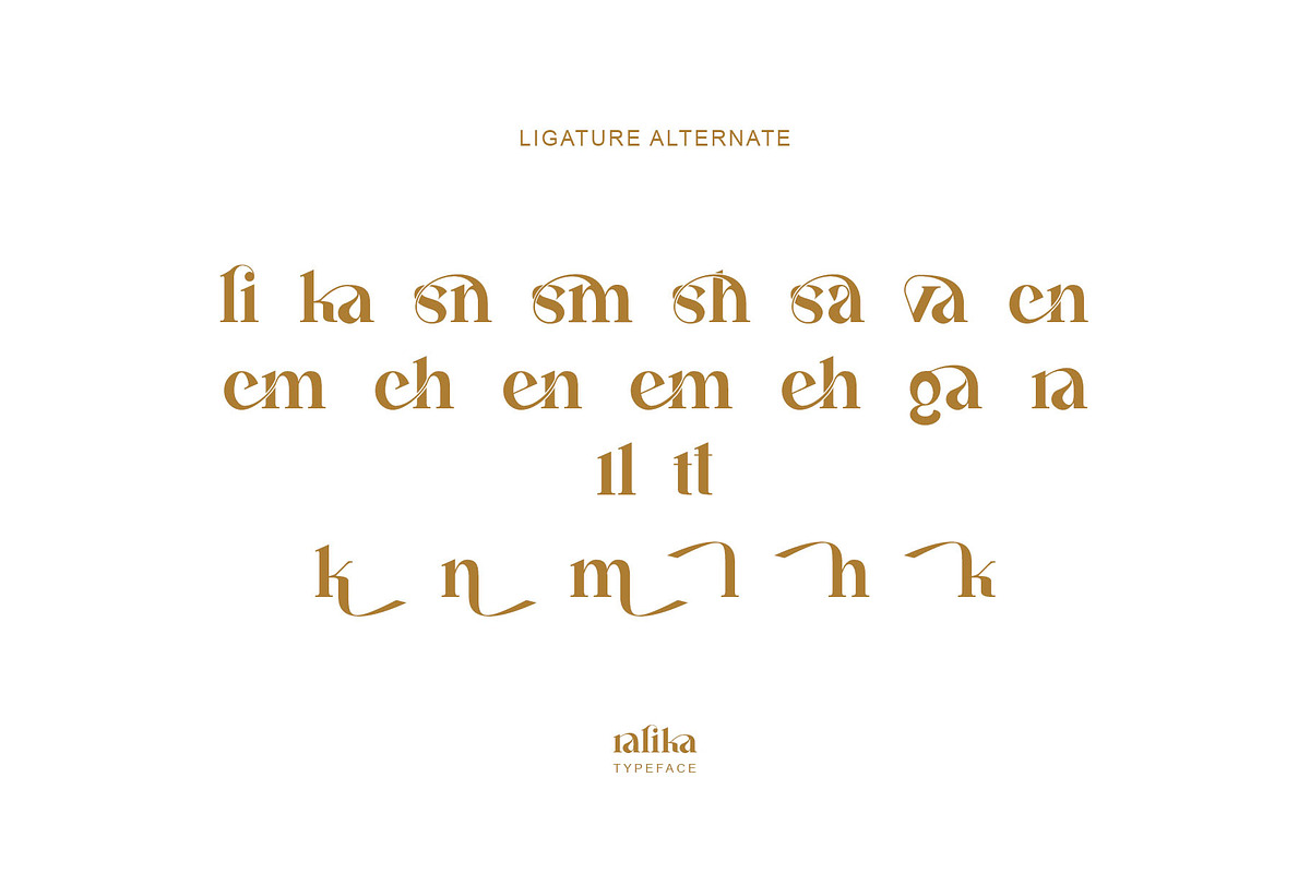 Ralika Ligature Serif Typeface, a Serif Font by yaqublekker (Photo 10 of 10)