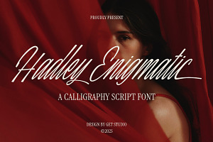 Hadley Enigmatic, a Script Font by Get Studio