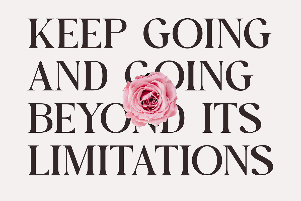 Galink New Elegant  Serif, a Serif Font by Muflieart (Photo 4 of 9)