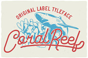 Coral Reef script font, a Script Font by VozzyStock (Thumbnail 3 of 7)