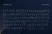 Randion, a Serif Font by StudioRhd (Thumbnail 14 of 14)