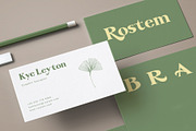 De Ginkgo, a Serif Font by Emyself Design (Thumbnail 6 of 16)