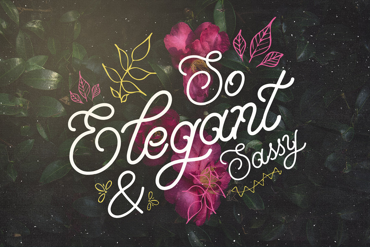 Savo Bawdy - Typeface preview 3