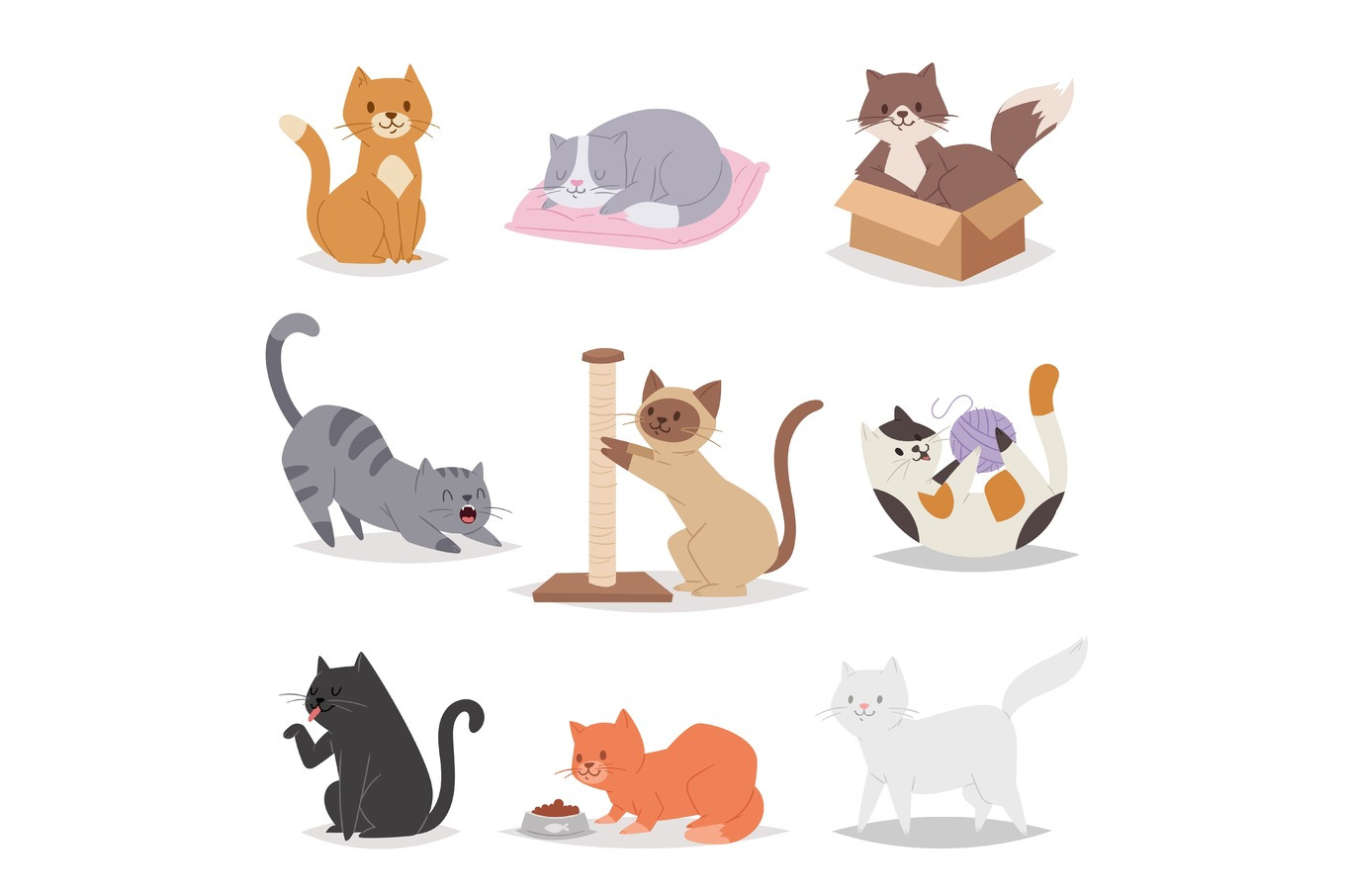 Funny cartoon cats characters different breeds illustration. Kitty ...