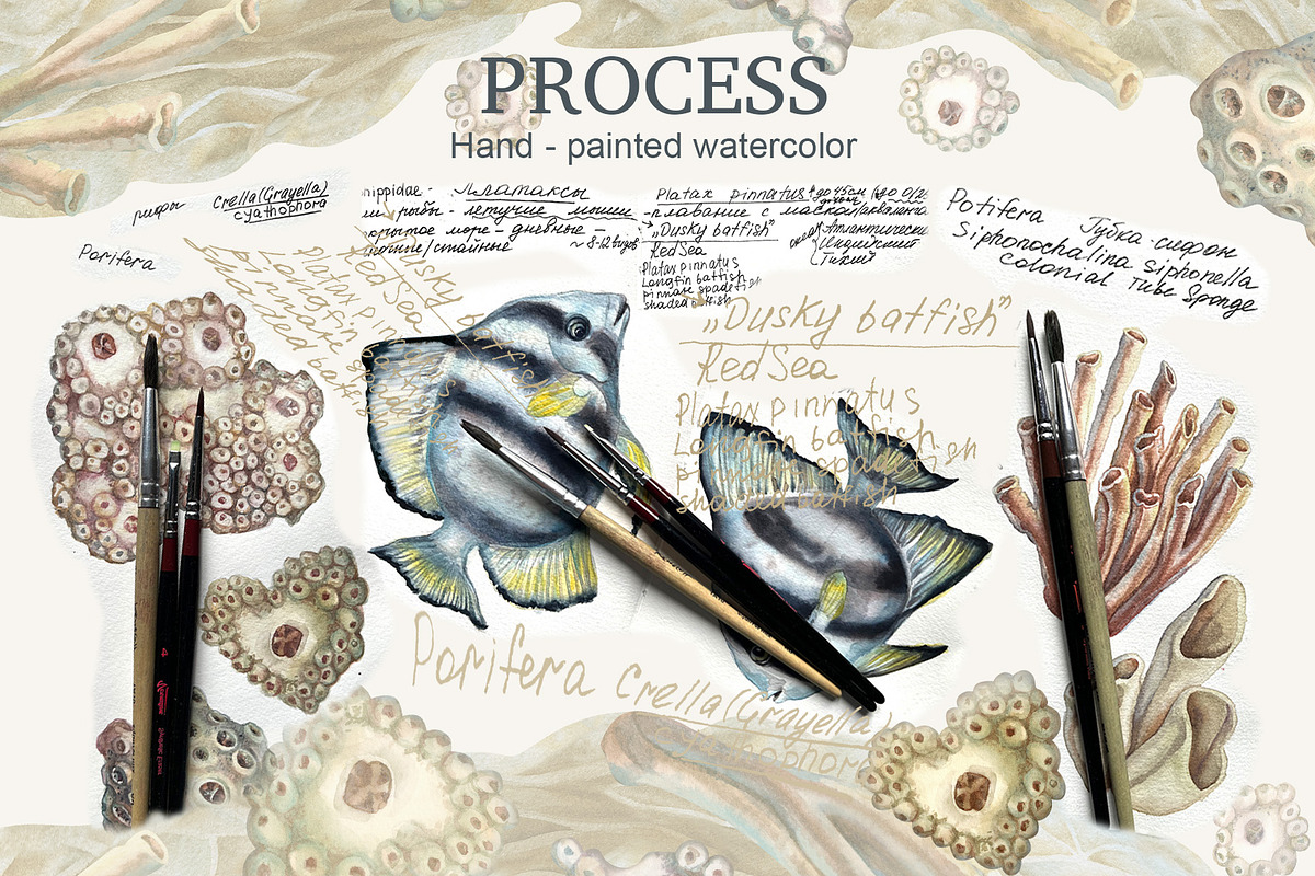 Calm fish watercolor clipart, an Animal Illustration by EL_SUHOVA (Photo 12 of 13)