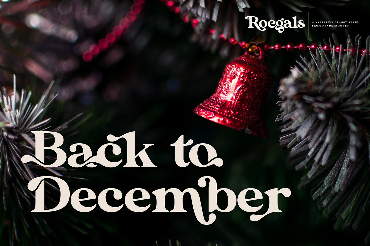 Roegals - A Variative Classy Serif, a Serif Font by NendesKombet Studio (Photo 4 of 15)