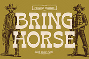Bring Horse Western Slab Serif, a Slab Serif Font by timelesstype.co (Thumbnail 1 of 20)