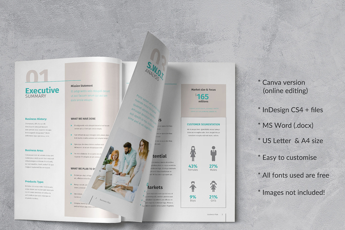 Marketing Plan Template, a Brochure Template by Sabin (Photo 2 of 7)